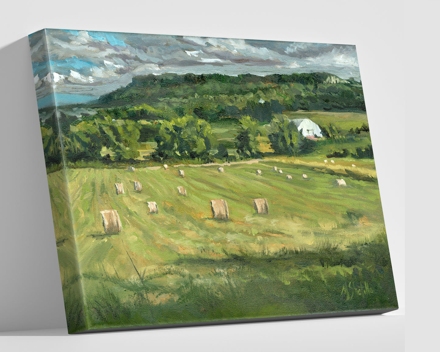 Field Beneath the Ridge