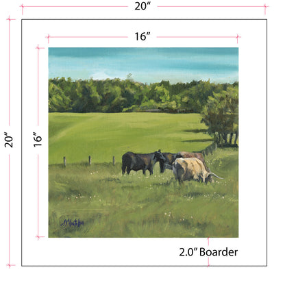 20x20