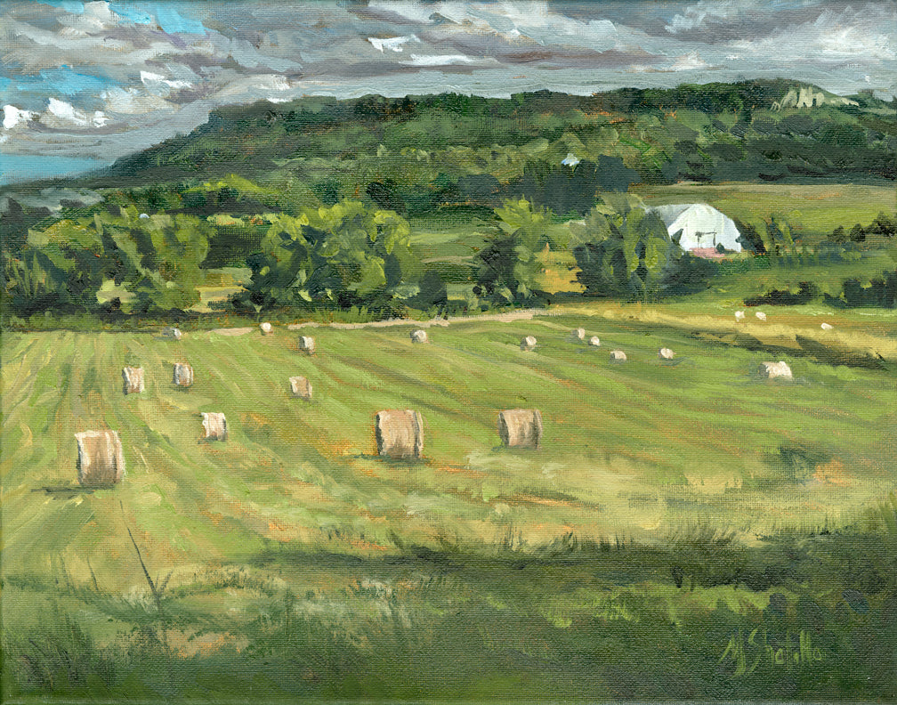 Field Beneath the Ridge