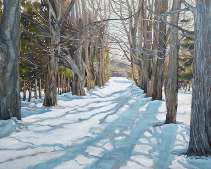Snowy path lined with bare trees in a winter landscape